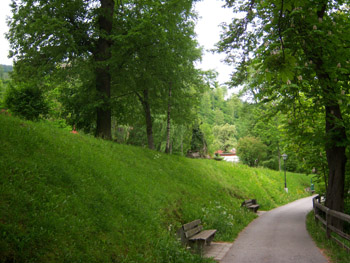 park